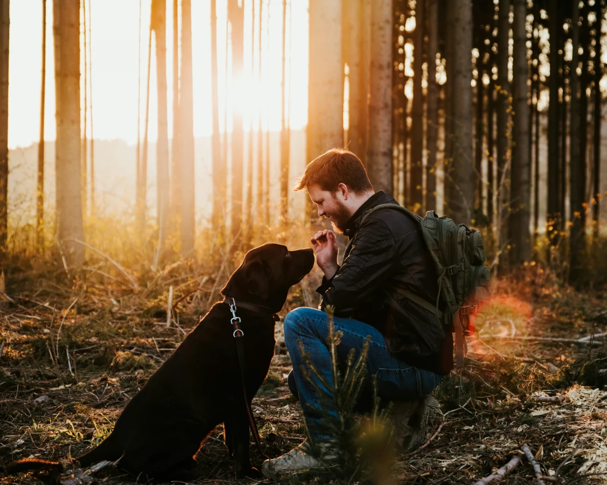 Ein schwarzer Hund und sein Besitzer sitzen eng beieinander in einem herbstlichen Wald mit warmen Sonnenlicht und Bäumen im Hintergrund. Der Mann kniet und streichelt den Hund zärtlich, während sie einander zugewandt sind.