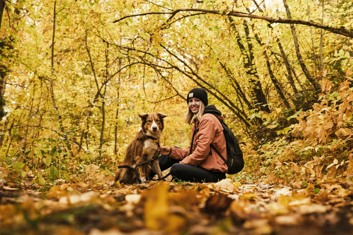Ein Mensch in orangefarbener Jacke sitzt mit einem Border Collie in einem herbstlichen Wald, umgeben von gelben Blättern und Bäumen. Beide blicken entspannt in die gleiche Richtung, während sie auf dem Waldboden sitzen.