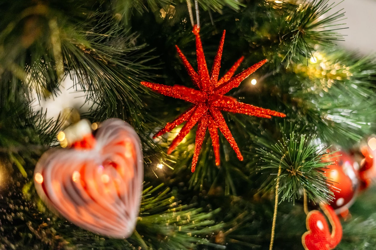 Leuchtend roter Weihnachtsstern und unscharfes Herz-Ornament an einem Tannenbaum mit Lichterkette. Weihnachtliche Dekoration mit glitzernden Schmuckelementen zwischen grünen Tannenzweigen.