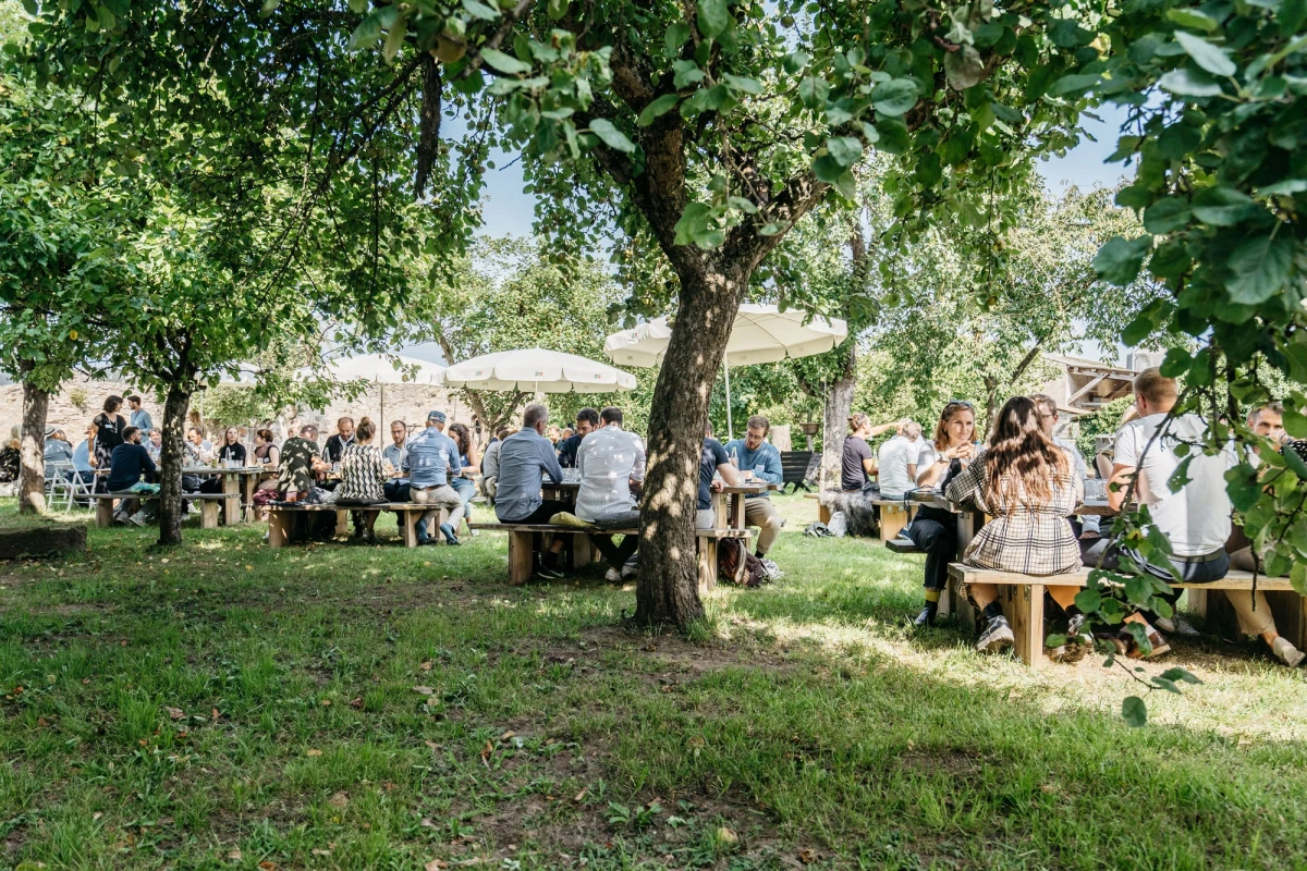 Sommerliche Veranstaltung unter Bäumen mit mehreren Besuchern, die an Holzbänken und Tischen sitzen und im Freien zusammenkommen, umgeben von grünem Gras und Bäumen.