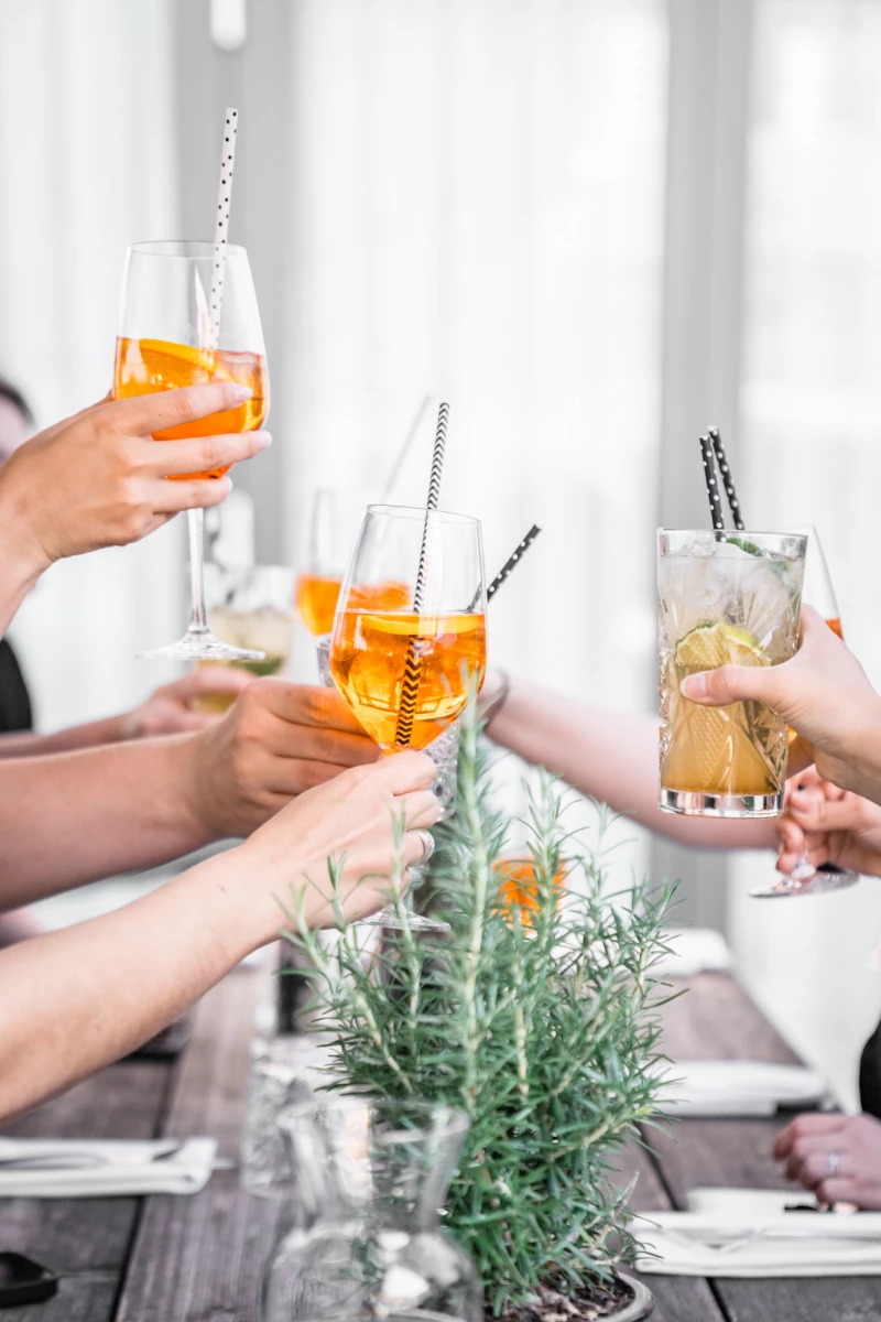 Drei Hände stoßen mit orangefarbenen Cocktails an, dekoriert mit Eiswürfeln und Cocktailstäbchen. Im Vordergrund steht eine Pflanze mit grünen Zweigen, und die Szenerie wirkt entspannt und gesellig.