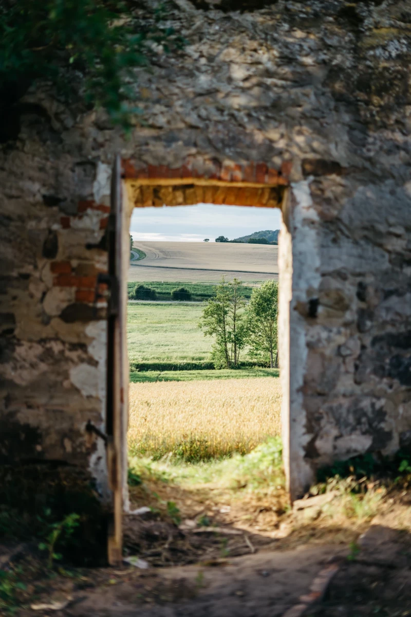 Rustikale Steinmauer mit Türöffnung, die den Blick auf eine weite, grüne Landschaft mit Feldern und einem einsamen Baum freigibt. Die Szene vermittelt eine friedvolle, ländliche Atmosphäre mit sanften Hügeln und üppigem Grün im Hintergrund.